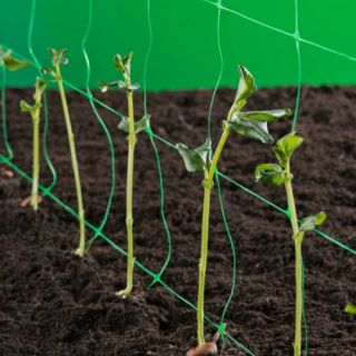Nature növényfuttató háló 1x10m (Uborkaháló)