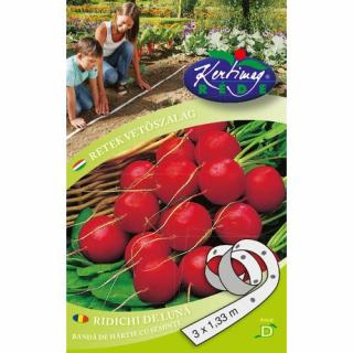 Óriás Vajretek - MAGSZALAG - Rédei Kertimag