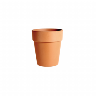 Pálma agyagcserép TERRAKOTTA
