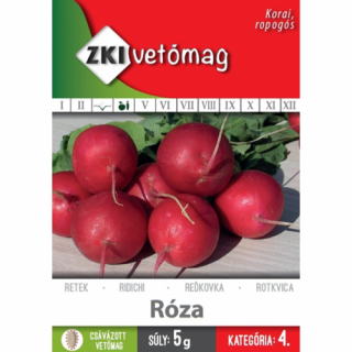 Retek Róza - KORAI - ZKI