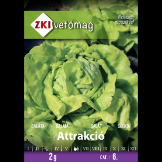 Saláta - Attrakció - NYÁRI, ŐSZI - ZKI