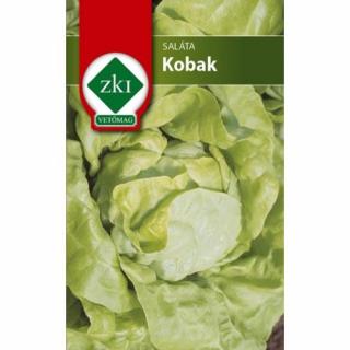 Saláta Kobak - RÖVID TENYÉSZIDEJŰ - ZKI
