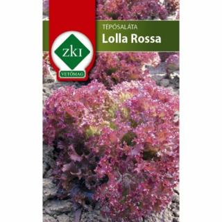 Saláta Lolla Rossa Tépősaláta - ZKI