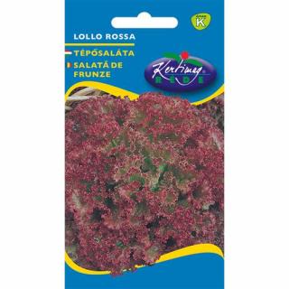 Saláta Lollo Rossa Tépősaláta - Rédei Kertimag