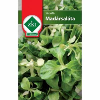 Saláta - Madársaláta - FOLYAMATOSAN VETHETŐ - ZKI