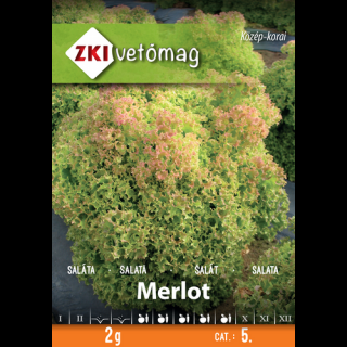 Saláta Merlot Tépősaláta - ZKI
