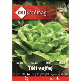 Saláta - Téli vajfej - ZKI