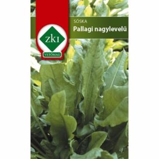 Sóska Pallagi Nagylevelű - KÖNNYEN TERMESZTHETŐ - ZKI