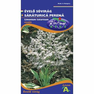 Sóvirág - Fehér - ÉVELŐ - Rédei Kertimag