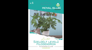 Szeldelt levelű filodendron