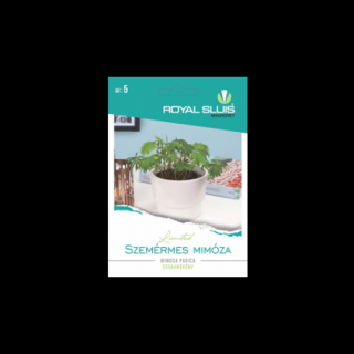 Szemérmes mimóza - RoyalSluis - Mimosa Pudica