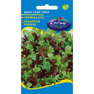 Tépősaláta - Baby leaf - trio- Rédei Kertimag