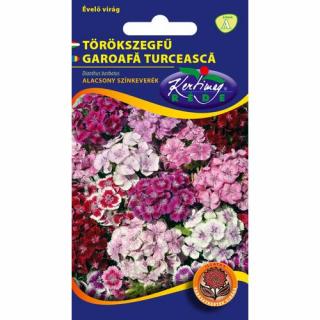 Törökszegfű - alacsony színkeverék - Rédei Kertimag