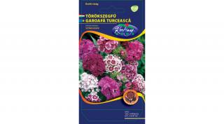 Törökszegfű Színkeverék (Dianthus barbatus)