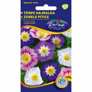 Törpe Hajnalka - Színkeverék - Rédei Kertimag