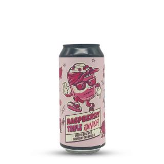 Raspberry Trifle Junior | Mad Scientist (HU) | 0,44L - 6,2%