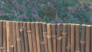 Nortene Bamboo Border - bambusz szegély