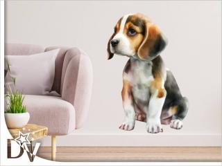 Falmatrica - Beagle kölyök kiskutya