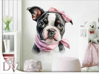 Falmatrica - Boston terrier kiskutya rózsaszín masnival