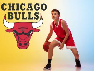 Falmatrica - Chicago Bulls