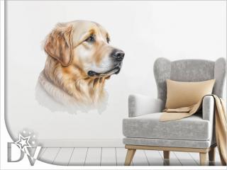 Falmatrica - Golden Retriever