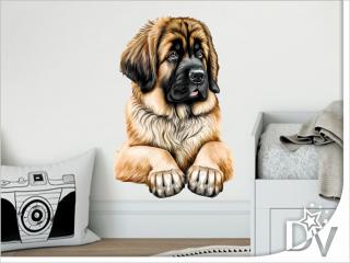 Falmatrica - Leonberger