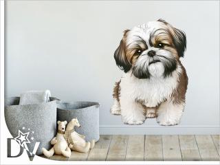 Falmatrica - Shih tzu