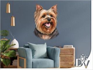 Falmatrica - Yorkshire Terrier - Yorkie