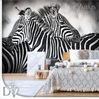 Fotótapéta - Fekete-fehér zebrák