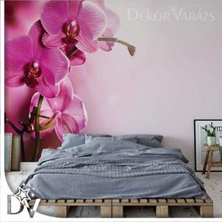 Fotótapéta - Pink Orchideákkal virágok
