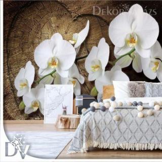 Fotótapéta - Virágok fehér orchideák fa háttérrel