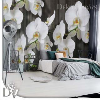Fotótapéta - Virágok fehér orchideák