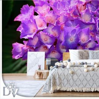 Fotótapéta - Virágok hortenzia lila