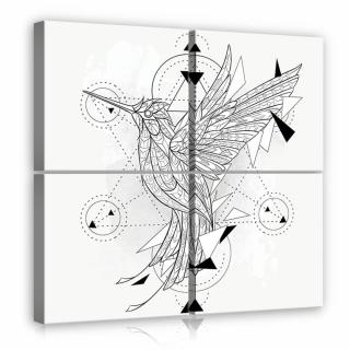 Vászonkép - Geometrikus kolibri (11945S20)