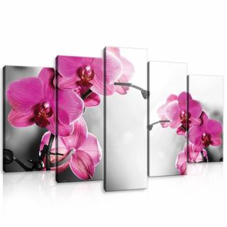 Vászonkép - Rózsaszín orchidea (10155S17)