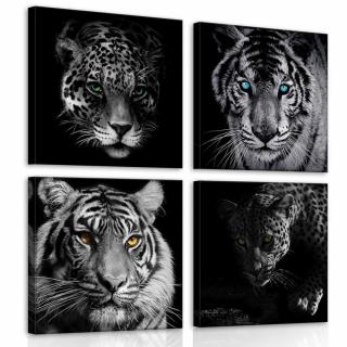 Vászonkép - Tigrisek és jaguárok (10089S20)