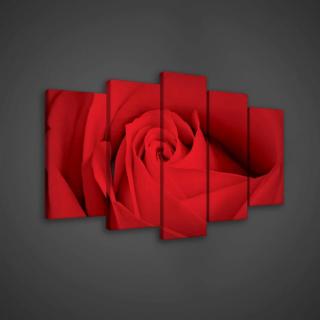Vászonkép - Vörös rózsa (147BS17)