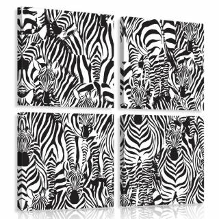 Vászonkép - Zebra (11042S20)