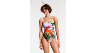 Desigual Swin Parrot