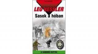 Sasok a hóban - Leo Kessler (Diszkont készlet)