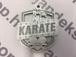 Karate ezüstérem