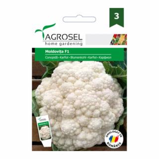 Agrosel Moldovita F1 Karfiol 120szem