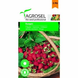 Agrosel Ruegen szamóca 10g