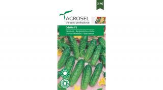 Agrosel uborka Odette F1 20szem