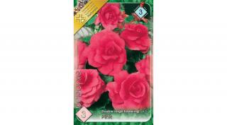 Begónia Double Pink 3db/cs