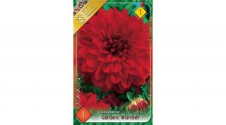 Dália gumó Garden Wonder 1-db