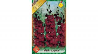 Kardvirág Gladiolus Black Surprise 10db/cs