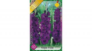 Kardvirág  Zantedeschia Purple Flora 1db/cs