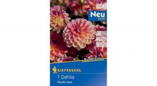 Kiepenkerl Dália gumó Pacific View 1db/cs