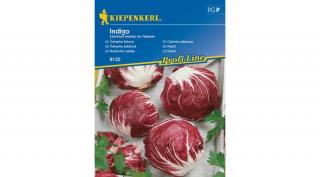 Kiepenkerl Indigo Cikoria saláta